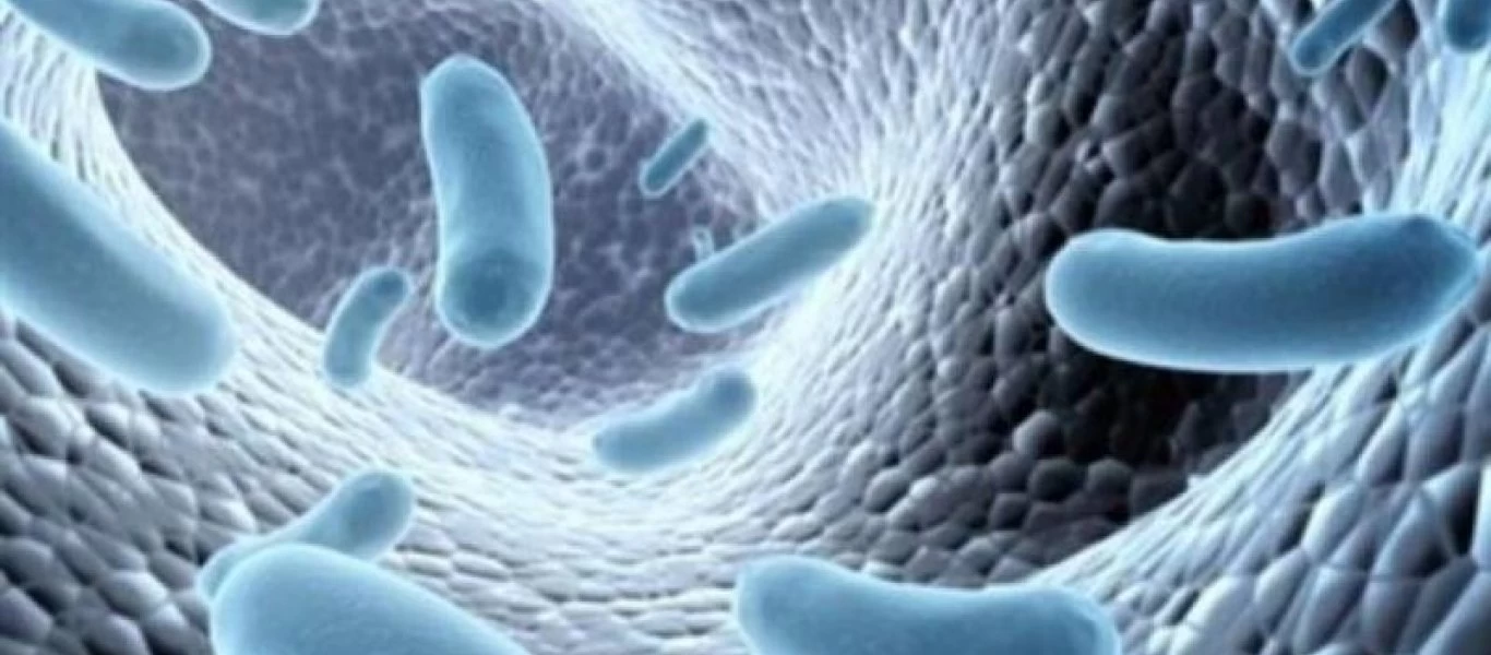 Oυρεόπλασμα: Τι είναι και πώς μεταδίδεται στις γυναίκες